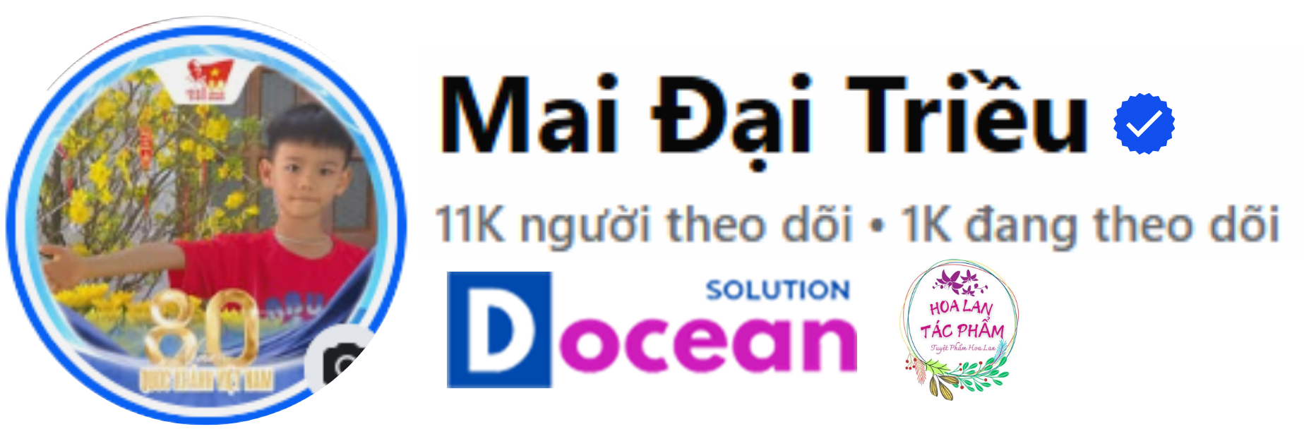 Trang thông tin chính thức của Mai Đại Triều