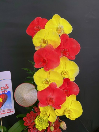 Mẫu hoa của ngày chiến thắng