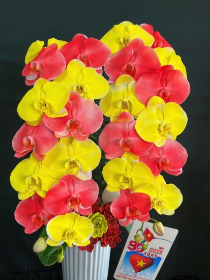 Mẫu hoa của ngày chiến thắng