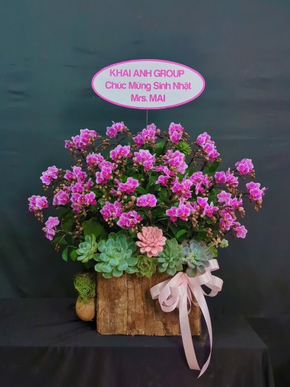 Hoa tím mừng sinh nhật