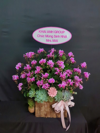 Hoa tím mừng sinh nhật