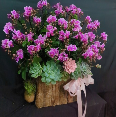 Hoa tím mừng sinh nhật