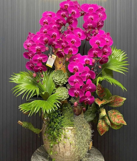 Các mẫu hoa giá tầm trung khá xinh