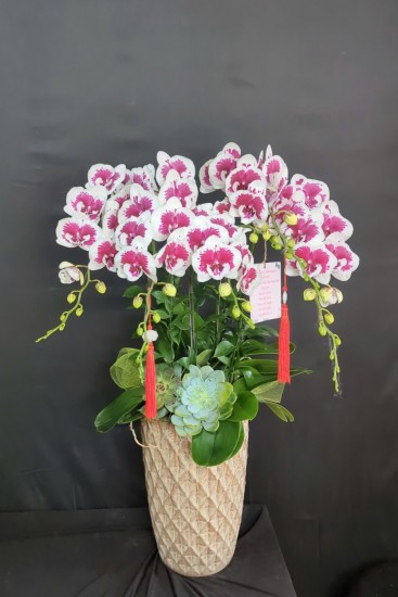 Các mẫu hoa giá tầm trung khá xinh