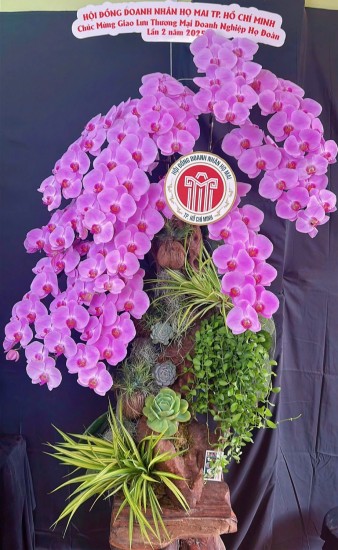 Triển lãm thương mại Họ Đoàn năm 2025