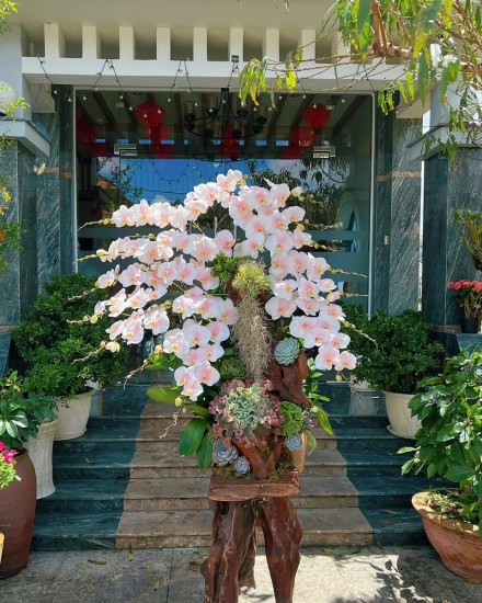 Các mẫu hoa tác phẩm sang trọng